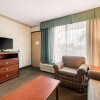 Отель Quality Inn & Suites Tarpon Springs South, фото 10