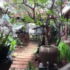 Отель Narisha Guesthouse, фото 14
