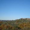 Отель Bed & Breakfast Le Terrazze del Chianti, фото 15