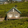 Отель Sarah Cottage - Nuwara Eliya, фото 19