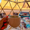 Отель Wadi Rum Rose camP, фото 9