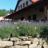 Отель Penzion Rozmarýn, фото 12