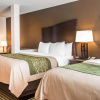 Отель Comfort Inn & Suites, фото 6