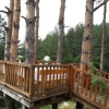 Отель Guesthouses Prav Kamen, фото 21
