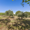 Отель Lovely Holiday Home in Castellina in Chianti With Garden, фото 14