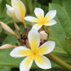 Отель HOTUMATUA, фото 12