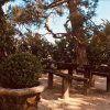 Отель La Moureale En Provence, фото 20