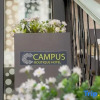 Отель Campus Boutique Hotel, фото 49