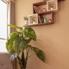 Отель Apart Penthouse Velvet Residence, фото 2