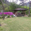 Отель Danyang Eowoolim Pension, фото 3
