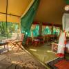 Отель Mara Legends Camp, фото 8