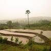 Отель Suan Sook Homestay, фото 16