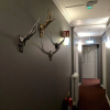 Отель Downtown Guesthouse Reykjavík, фото 11