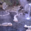 Отель Itoen Hotel Oze Oigami Sanrakuso, фото 27