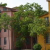 Отель Cómodo Apartamento en Cancun Centro, фото 1