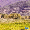 Отель Jingucao Haiyuan Inn, фото 7