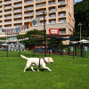 Отель Sono Pet Clubs & Resorts Vivaldi Park, фото 21