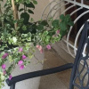 Отель Hostal Mamy Dorme, фото 7