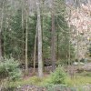 Отель Nice Home in Knäred With 2 Bedrooms, фото 14