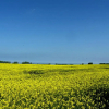 Отель Sommerloft Rerik, фото 21