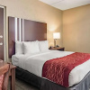 Отель Holiday Inn Express Madison, фото 3