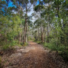 Отель Gum Grove Chalets, фото 30