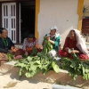 Отель Bhattidanda Fresh & Natural Homestay, фото 12