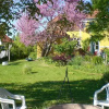 Отель Bjerreby Bed and Breakfast, фото 9