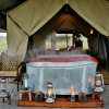 Отель Pumzika Luxury Safari Camp - East Africa Camps, фото 2