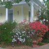 Отель Blooming Garden Inn, фото 10