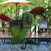 Отель Pousada Cheiro Verde, фото 17