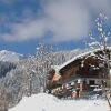 Отель Alpengasthof Pension Rapoldsberg, фото 3