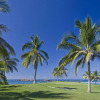 Отель The St. Regis Punta Mita Resort, фото 34