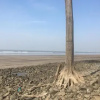 Отель Kapil's Beach Resort, фото 5