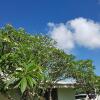 Отель Saipan Family Residence, фото 17