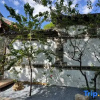 Отель Song Yin·Naxi Style Garden·Snow Mountain Resort Homestay, фото 9