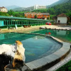 Отель Hot Spring Forest Holiday Hotel, фото 3