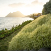 Отель Eden Roc Villas, фото 21