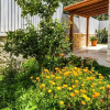 Отель Villa Luck, фото 25