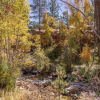 Отель Riverwood on Fall River, фото 8
