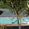 Отель Sigiriya Peacock Homestay, фото 8