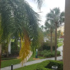 Отель Central Florida 2 Bedroom, фото 16