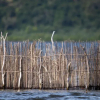 Отель Royal Thonga Safari Lodge, фото 44