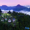 Отель Yinxin'gu Treehouse Hotel, фото 9