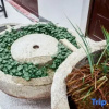 Отель Huameishi Homestay (Liancheng Guanzhai Mountain Scenic Area), фото 5