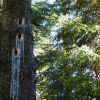 Отель Haus Wald-Eck, фото 3