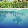 Отель Corbett Jungle Holiday Spa & Resort, фото 11