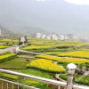 Отель Longweishan Inn, фото 8
