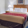 Отель Econo Lodge South, фото 2