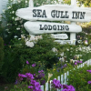 Отель Seagull Inn, фото 1
